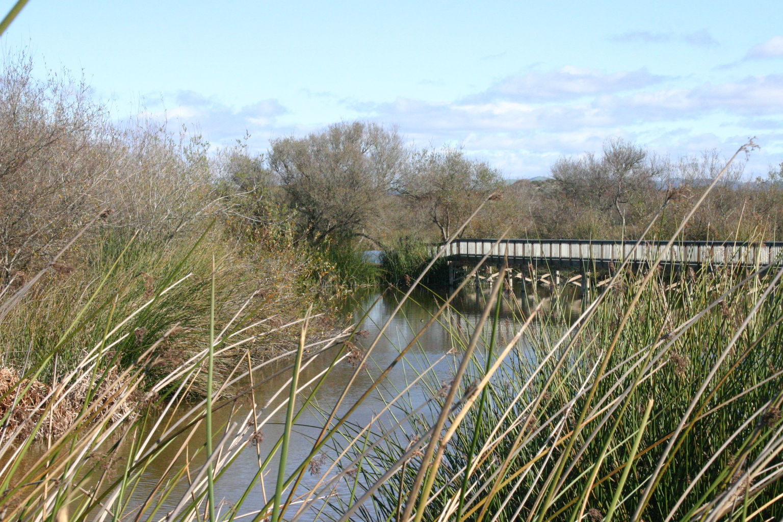 Oso Flaco Boardwalk